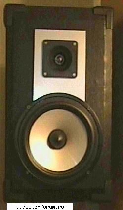 amplificator 2x350Wrms - iata cum arata boxele facute de mine cu SB-8 - Constructii audio...