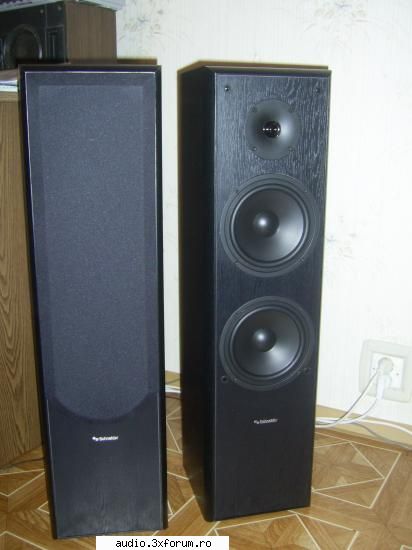 au 2x80w, pe 2 cai, 8 ohmi, negre, arata shi se aud impecabil vand boxe schneider